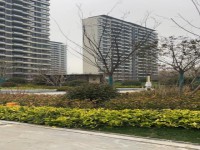 其它圖