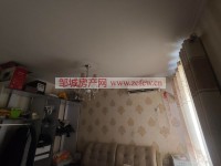 其它圖